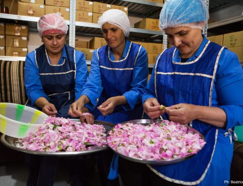 Il nostro sostegno alle produttrici in Libano